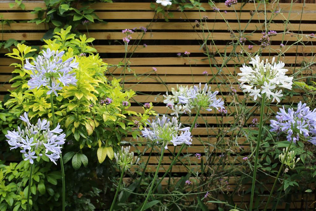 Shoreditch 1 With Garden London Rum bild